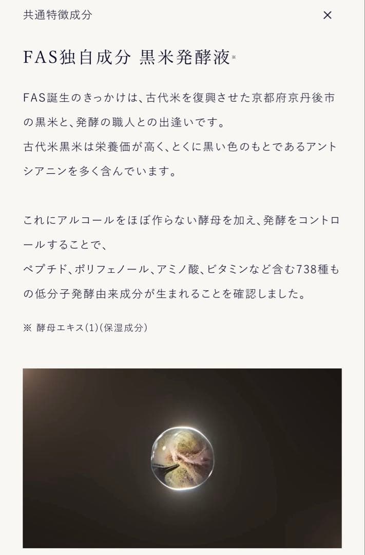 【新品未使用】FASザブラックナイトチャージマスク
