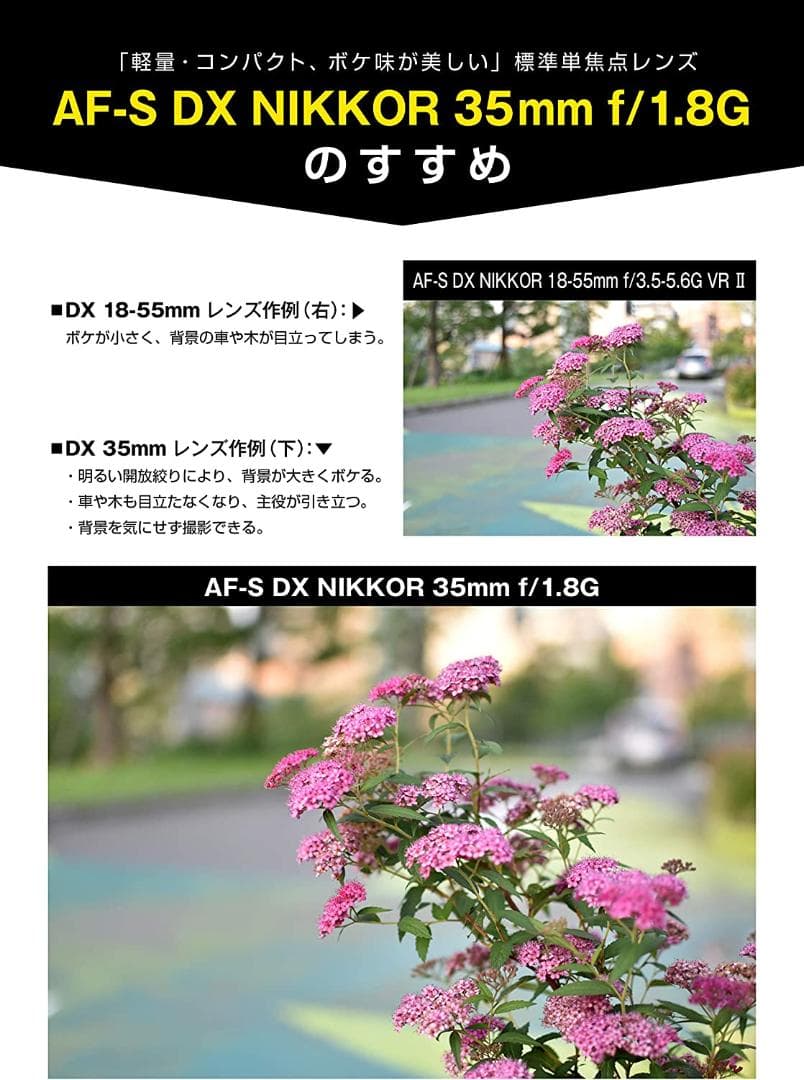Nikon 単焦点レンズ AF-S DX NIKKOR 35mm f/1.8G