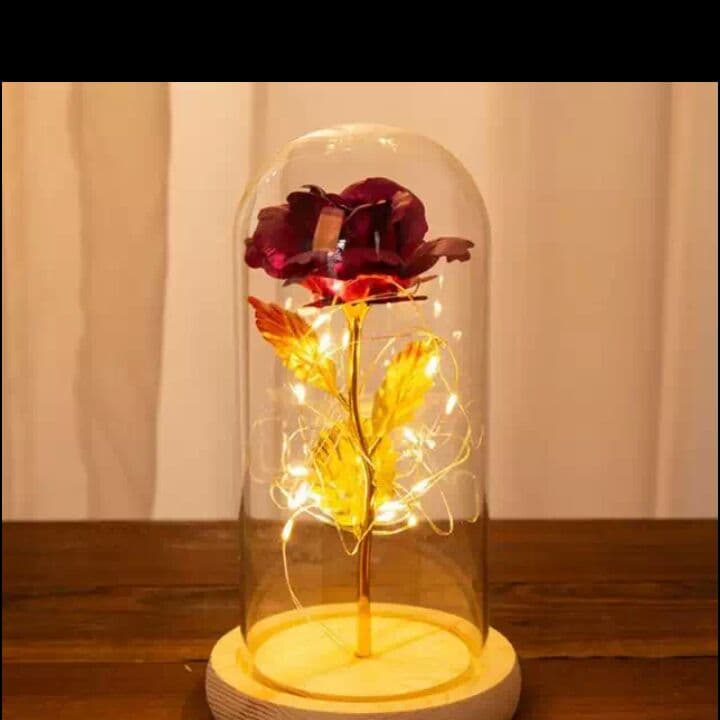 [プレゼント] 一輪の花