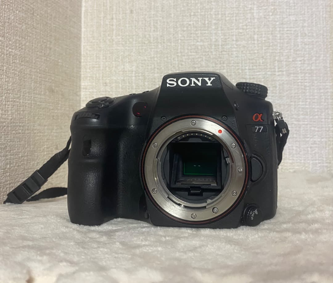 SONY α77 SLT- A77 レンズセット
