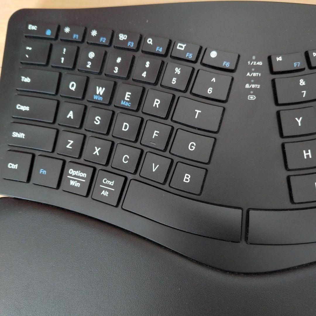 【美品】エルゴノミクス キーボード　EW-NKB101　ブラック