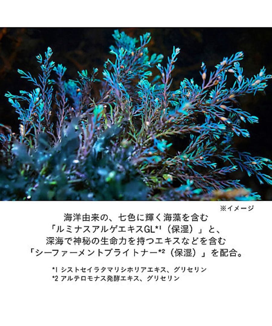 ❣️本体❣️ セラムエクラＳ　ＩＩ