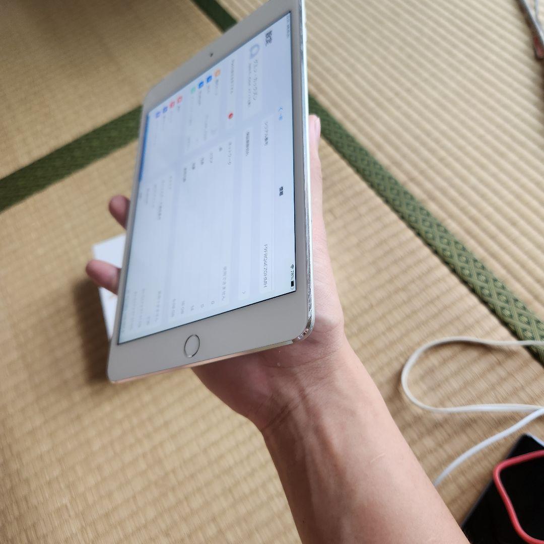 Apple iPad Mini 4 本体