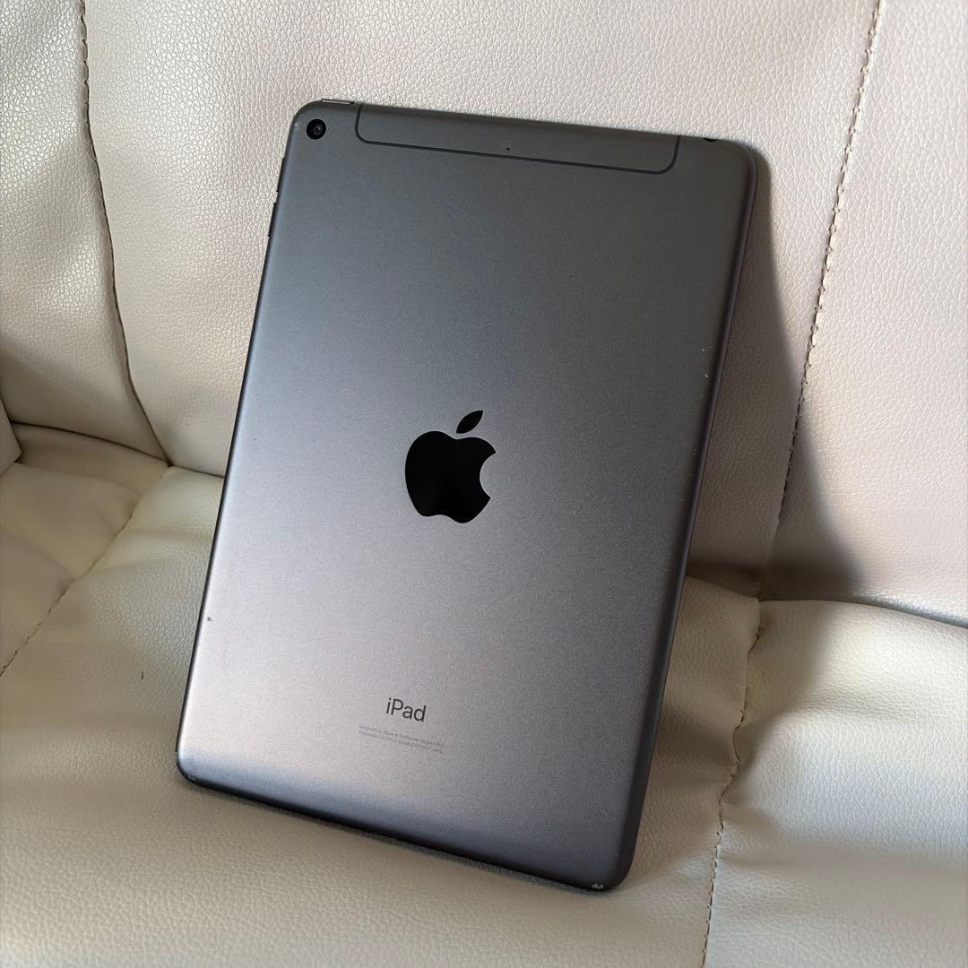 iPad mini 5 Wi-Fi &セルラーモデル256G