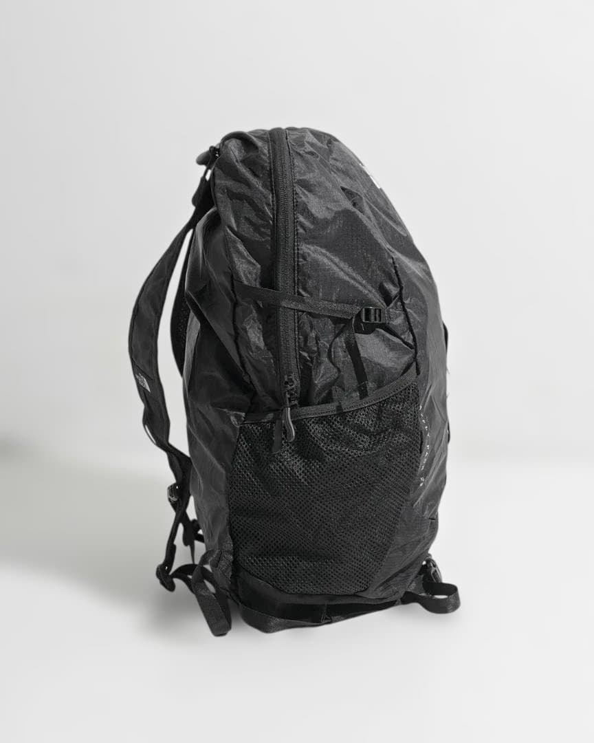 新品未使用ノースフェイス Mayfly Pack 22 携帯型折り畳みリュック