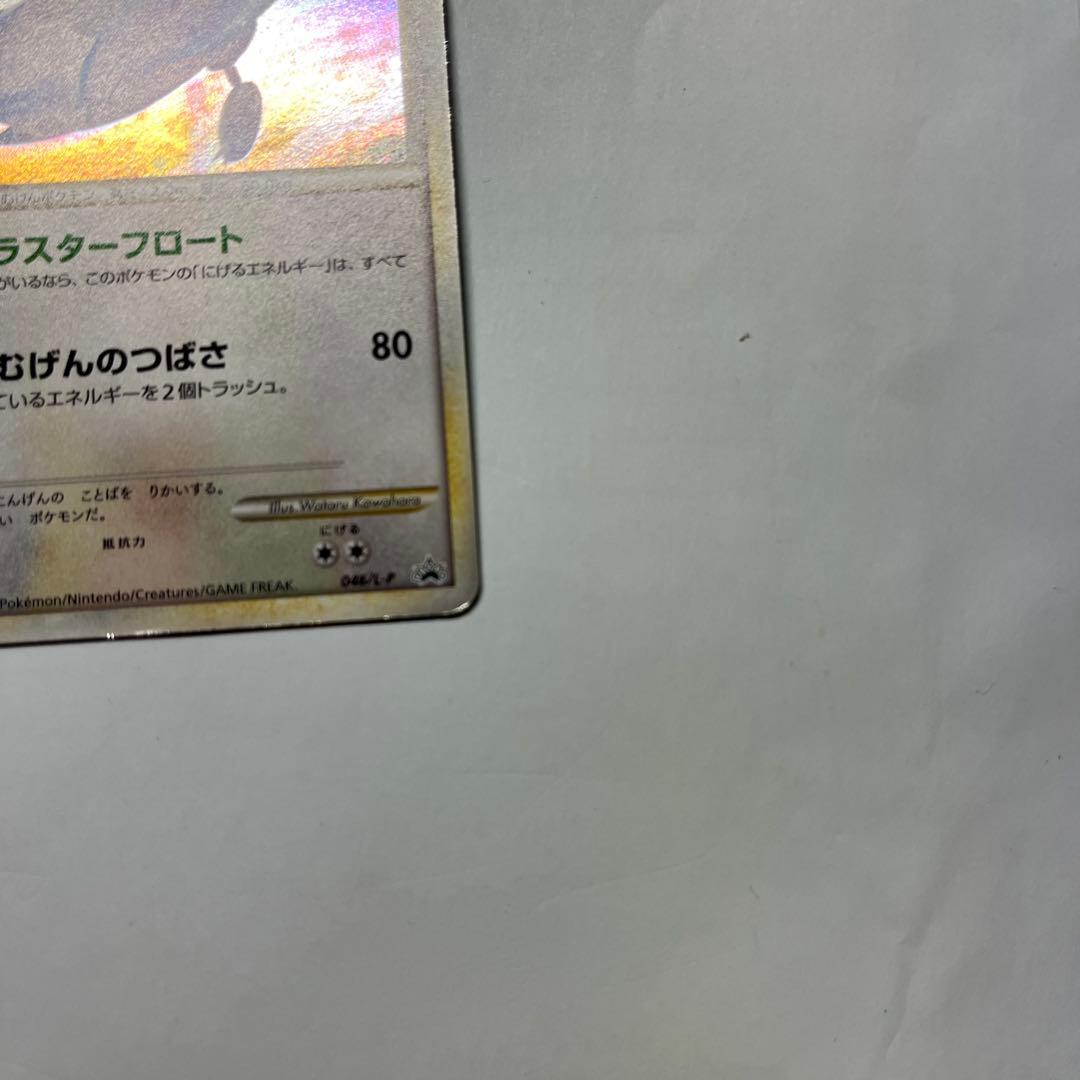 くまさん