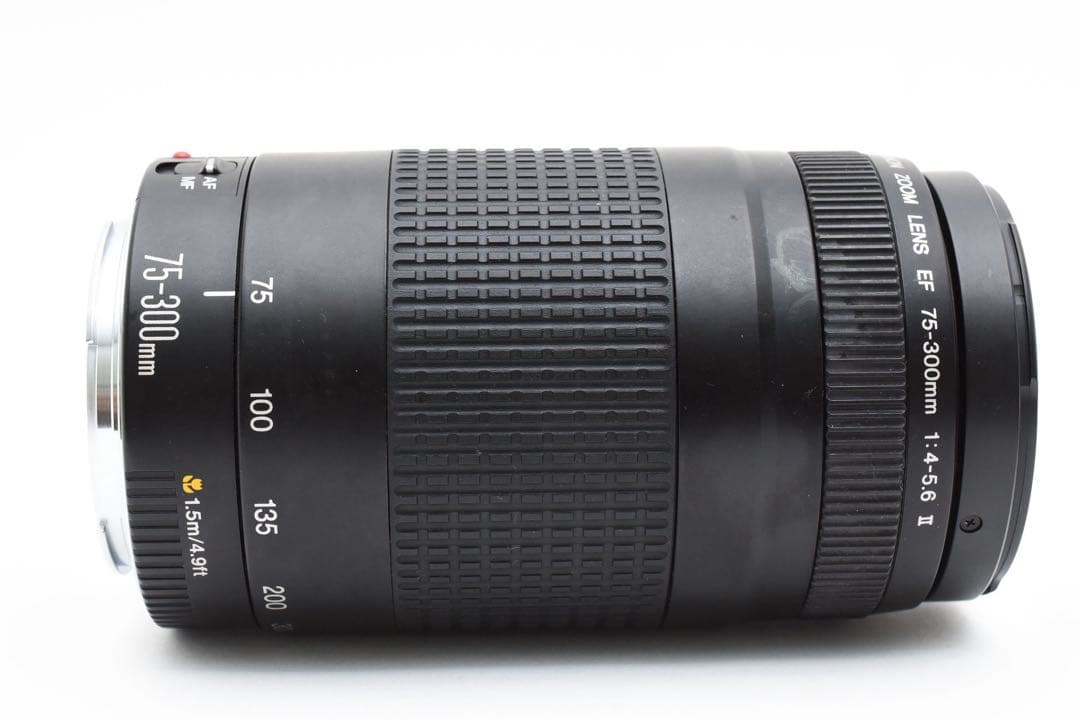 Canon EF 75-300mm F4-5.6 Ⅱ