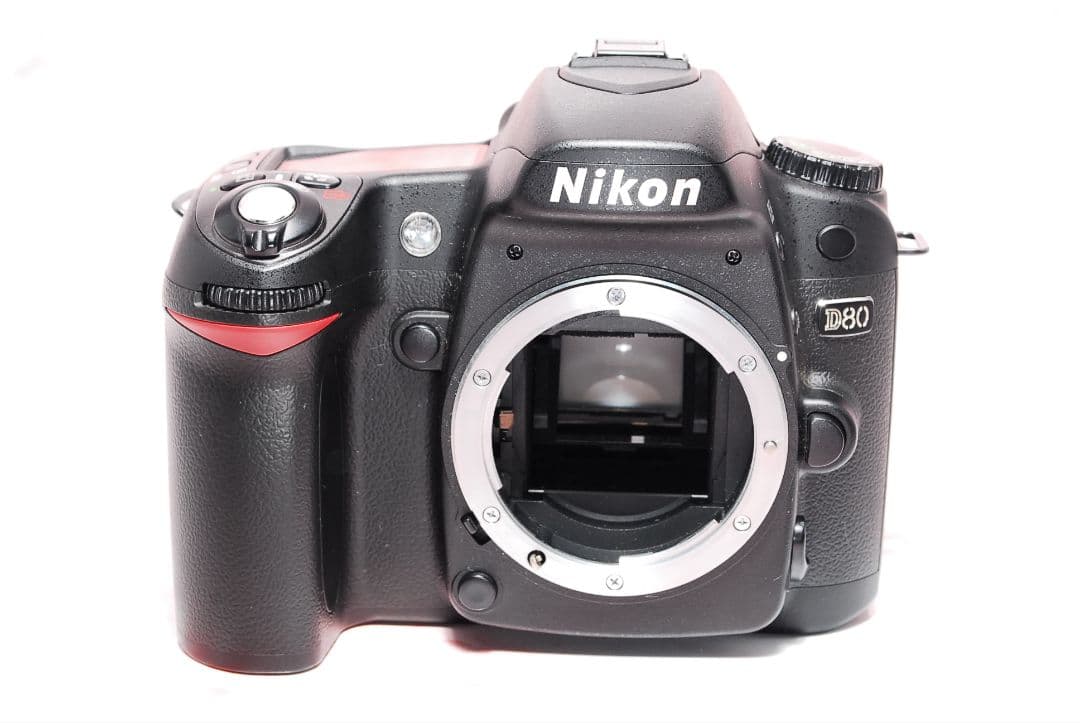 ✨Nikon D80✨AF標準レンズ 初心者おすすめ 一眼レフ 入門 すぐ撮れる