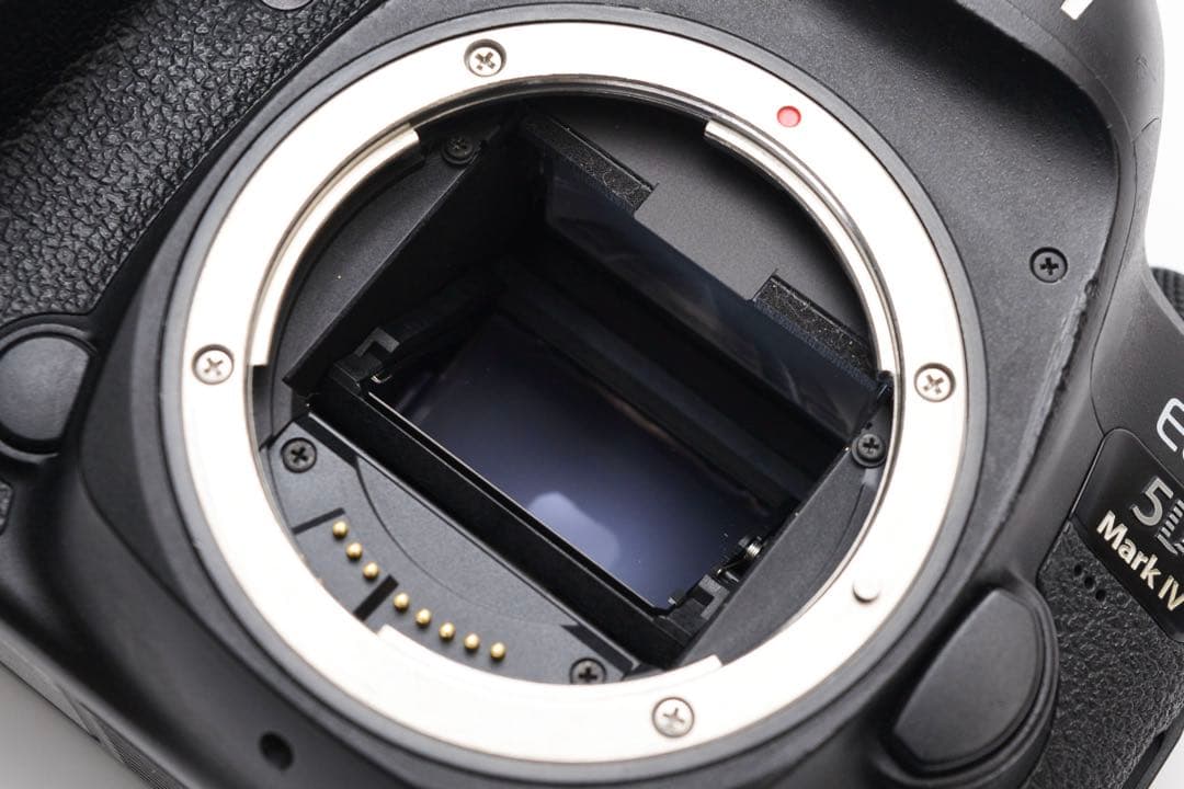 一眼レフカメラCanon EOS 5D MarkIV標準&望遠ダブルレンズセット