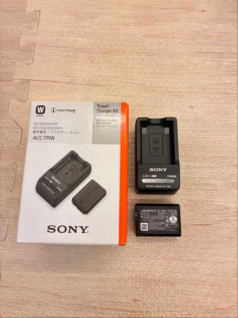「超美品」SONY α ZV-E10 セット※ケース付き、電池2個