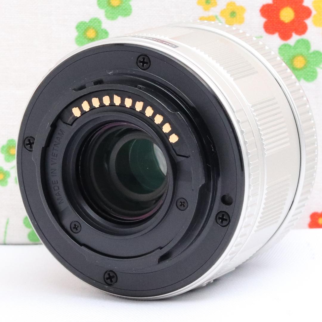 パナソニック Panasonic LUMIX GF10 ☆オレンジ☆ミラーレス