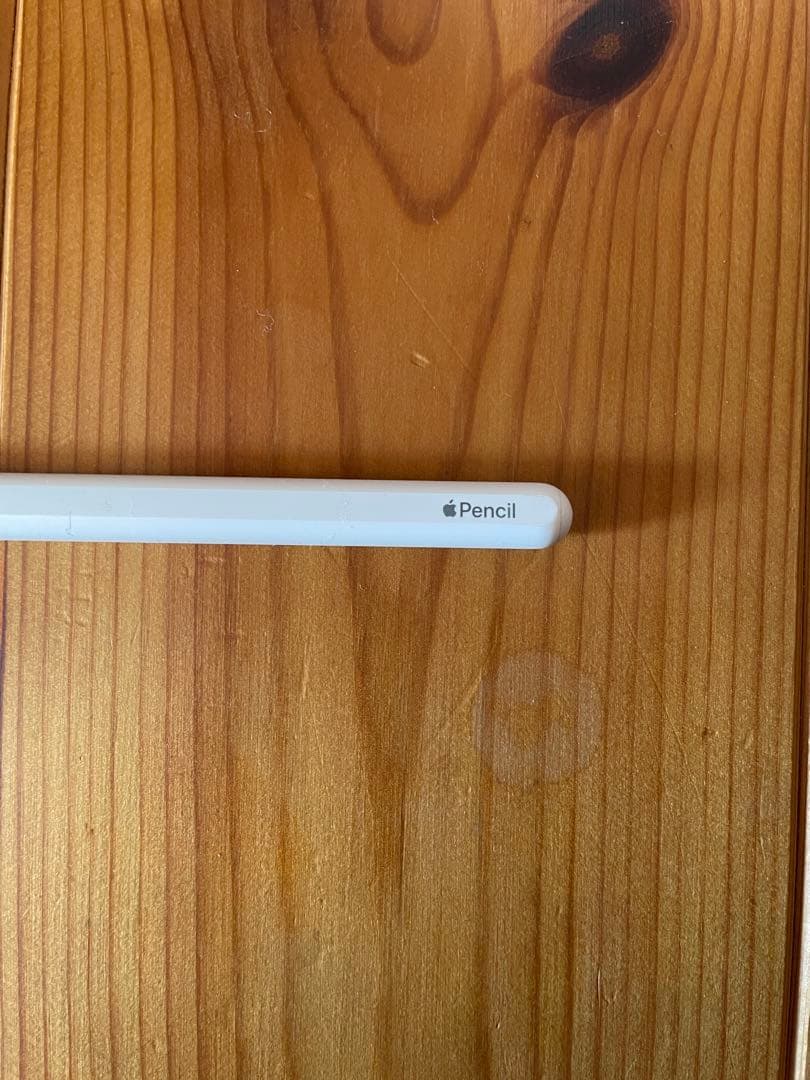 Apple Pencil (第2世代) /完動