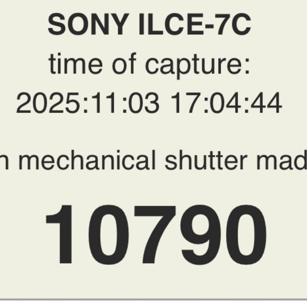 Sony α7C TAMRON レンズセット
