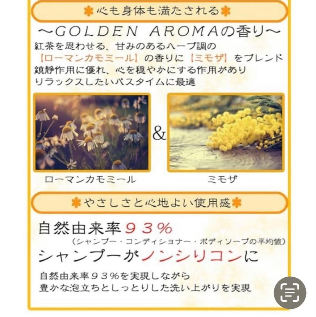 ポーラ　アロマエッセゴールド　本体