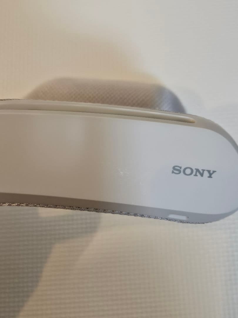 【大人気肩掛け】SONY スピーカー SRS-WS1