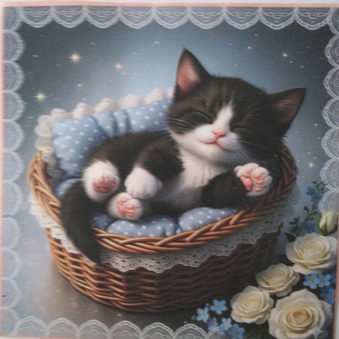 ☆受付☆猫