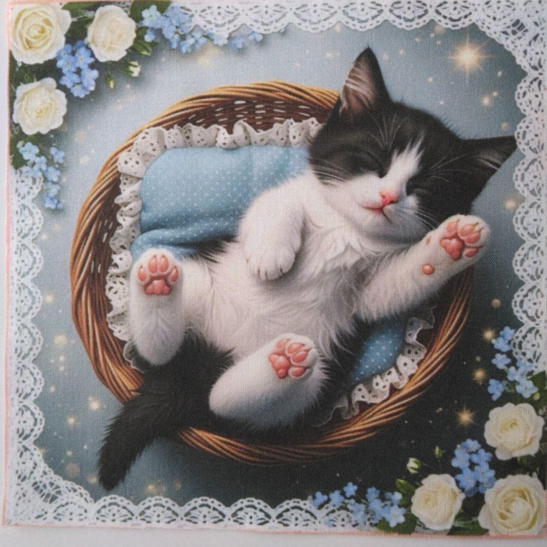 ☆受付☆猫