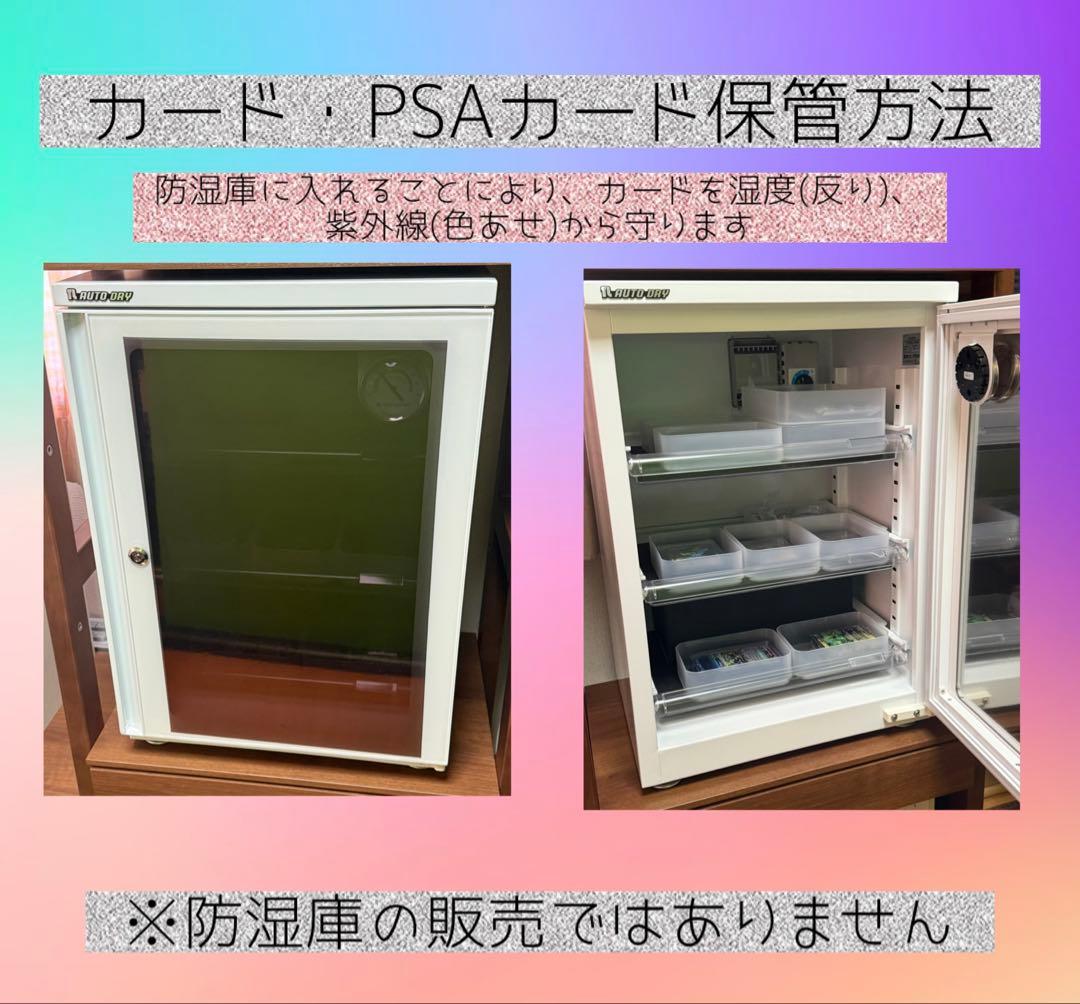 【PSA10】連番　スナノケガワex SAR