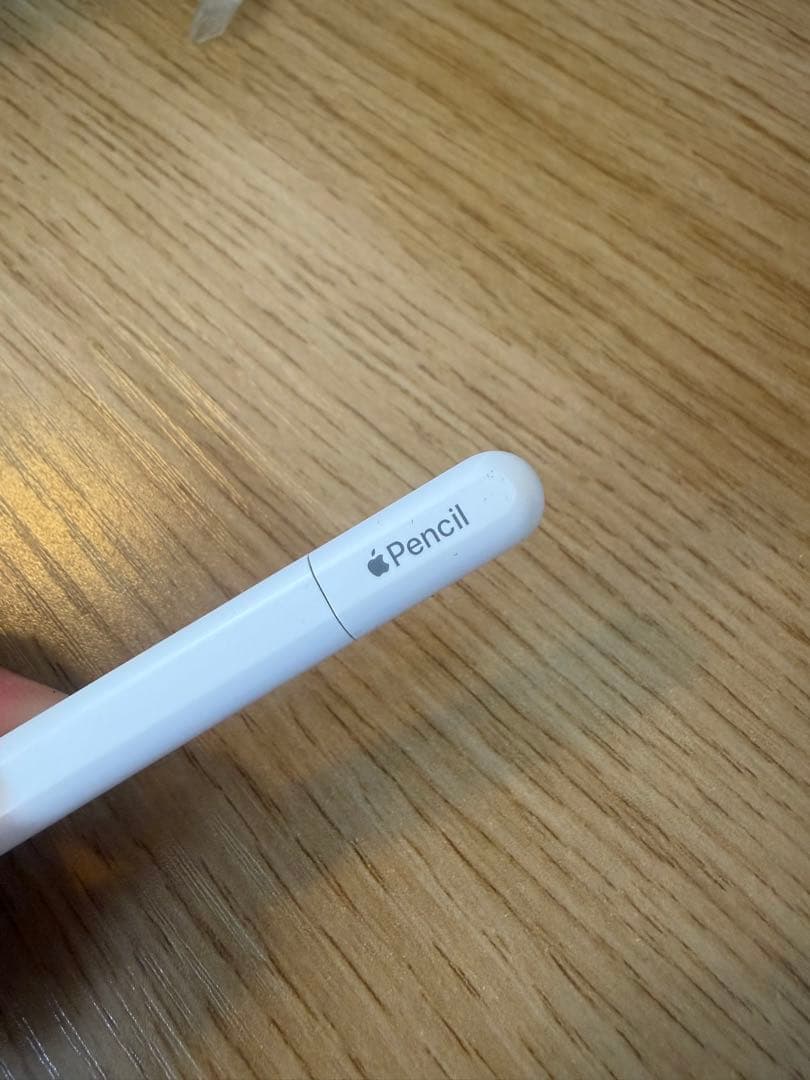 Apple Pencil USBーCタイプ