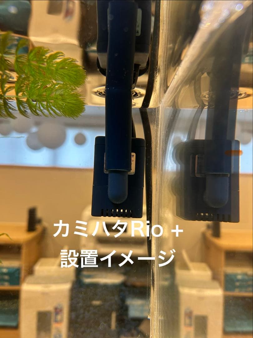 【訳あり】60㎝水槽用　上部濾過式アクアリウム水槽アクアポニックス仕様A