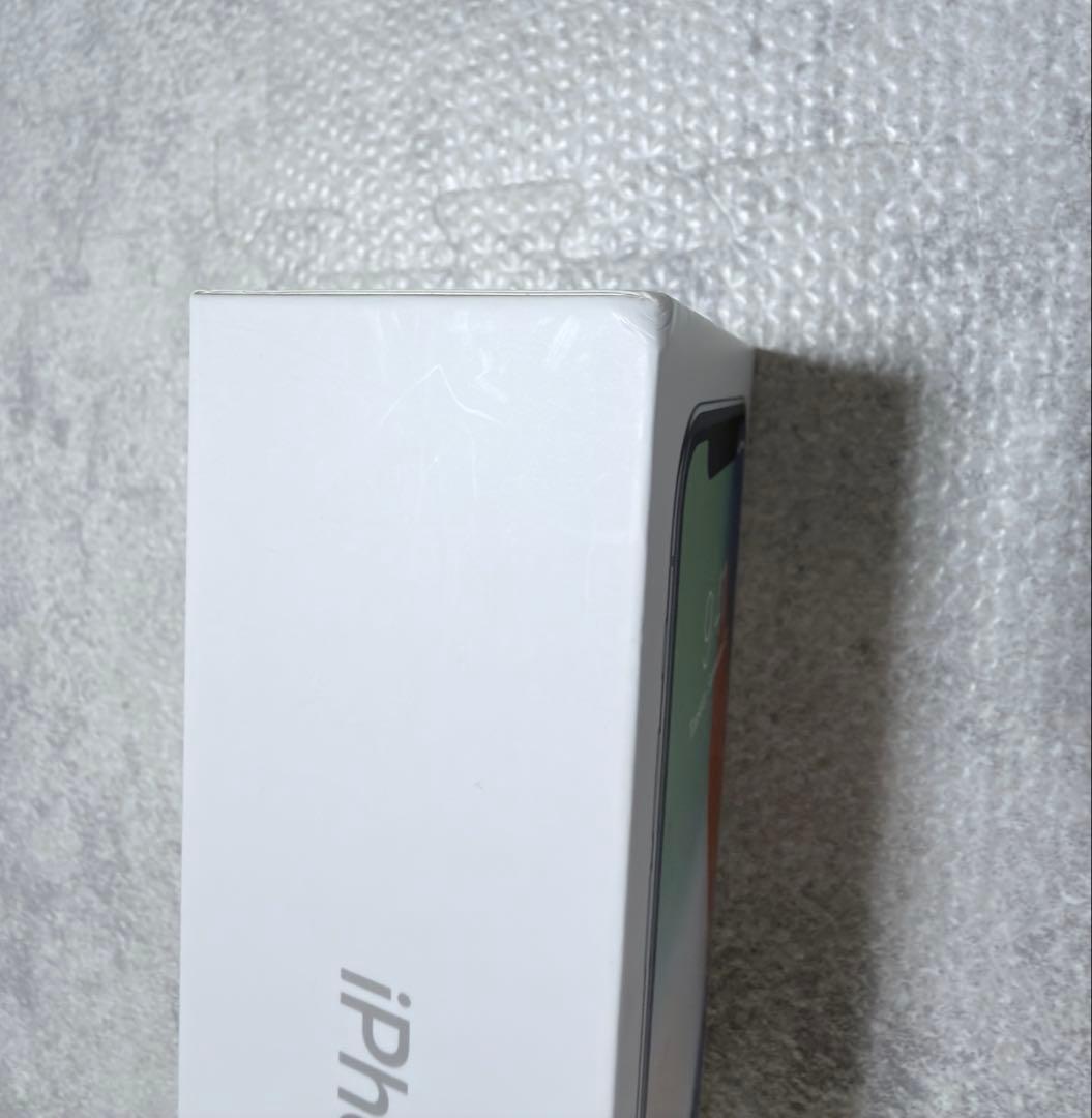 Apple iPhone X 256GB 本体