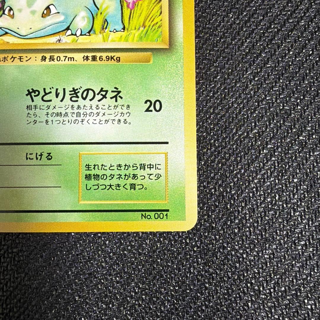 フシギダネ　初版　美品　旧裏　①