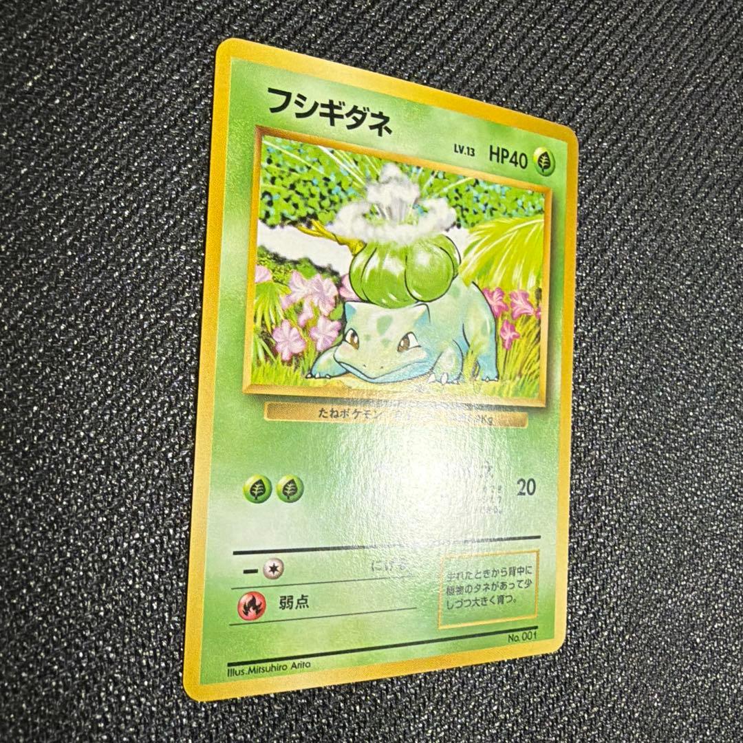 フシギダネ　初版　美品　旧裏　①