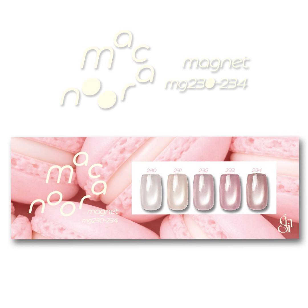 【énoi】macaroon magnet 5色セット 台紙付き 新品未使用