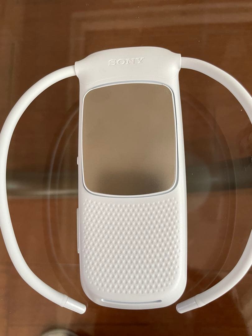 暑さ対策・冷却グッズ SONY REON POCKET RNPK-5