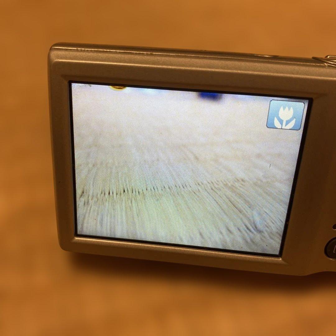 【動作品・Canon IXY 200