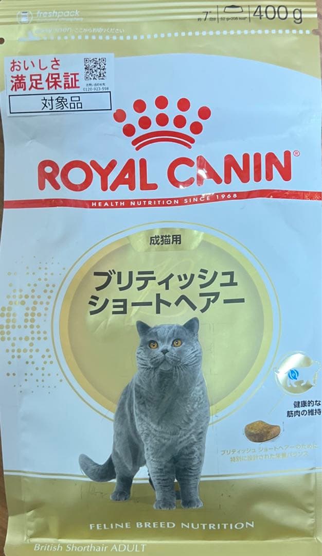 ロイヤルカナンブリティッシュショートヘアー・ラグドール・ノルウェジャン