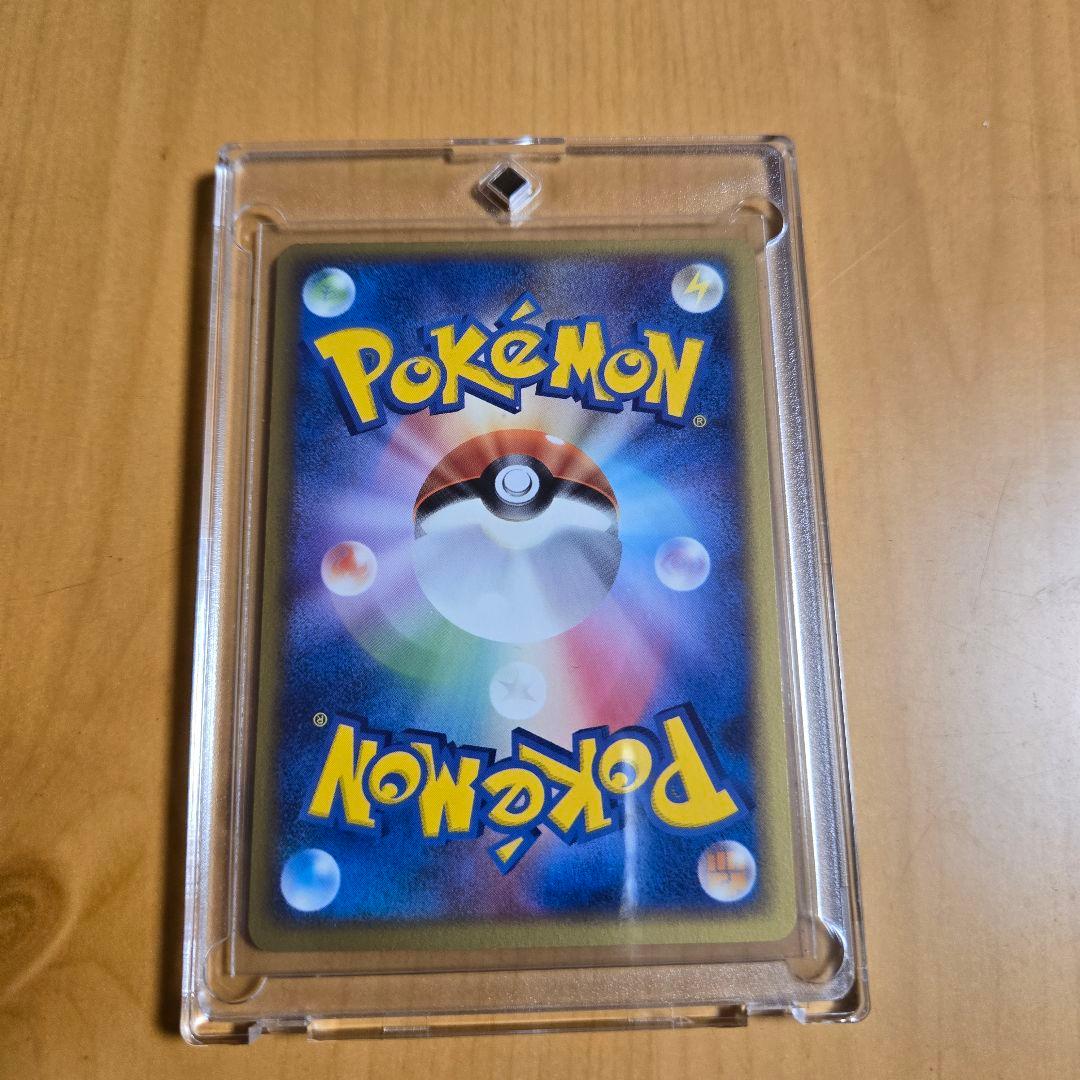 ✨美品✨ライコウ ポケパークプレミアムファイル 005/009