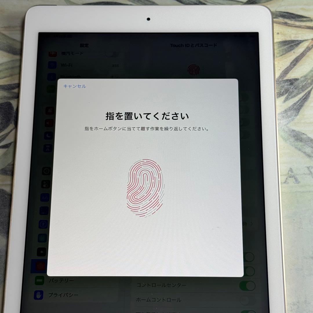 iPad本体 iPad Air2 Wi-Fi+auSIM 16GB