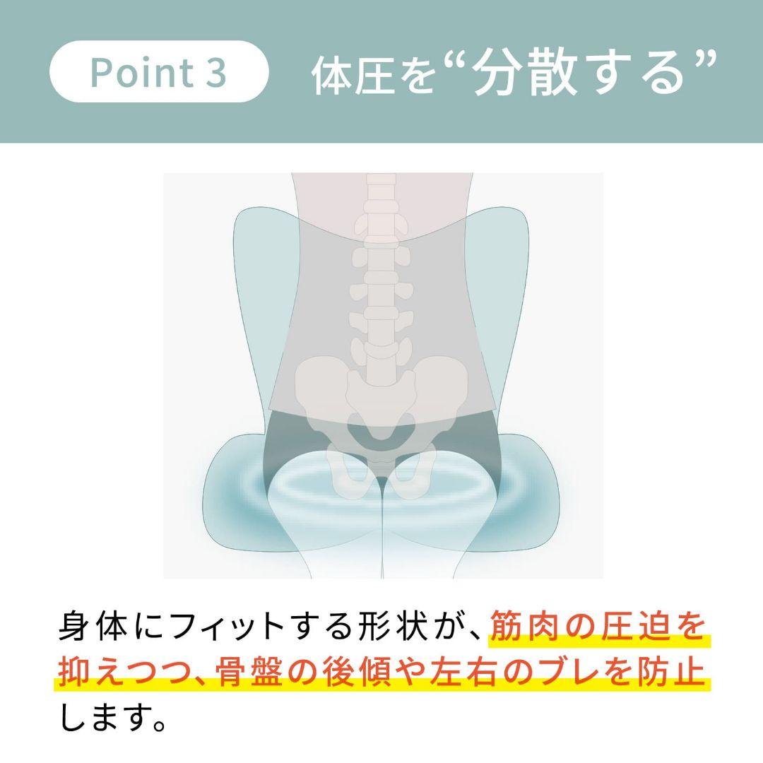 StyIe PREMIUM/スタイルプレミアム/ブラウン/骨盤矯正
