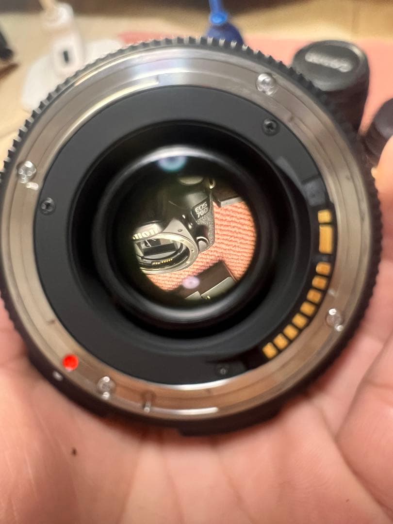Canon EOS 70D + Sigma 17-50mm + レンズ