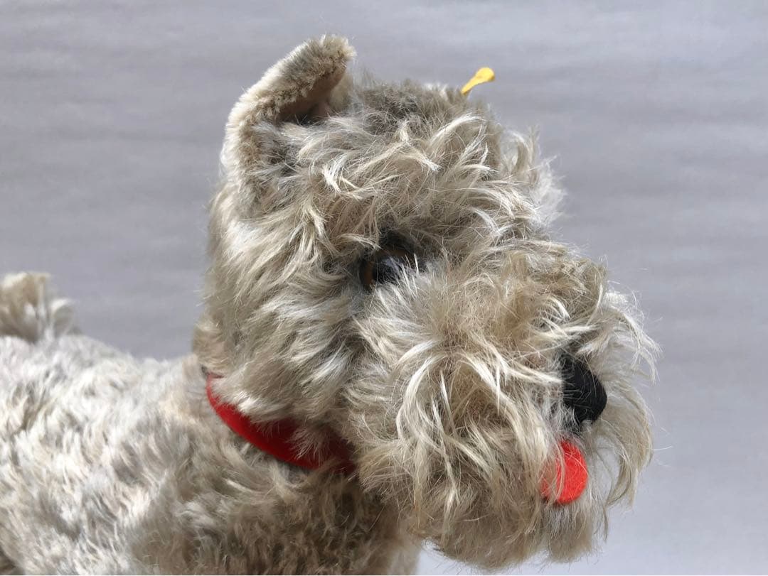 Steiff 　シュナウザーのTessi　IDあり