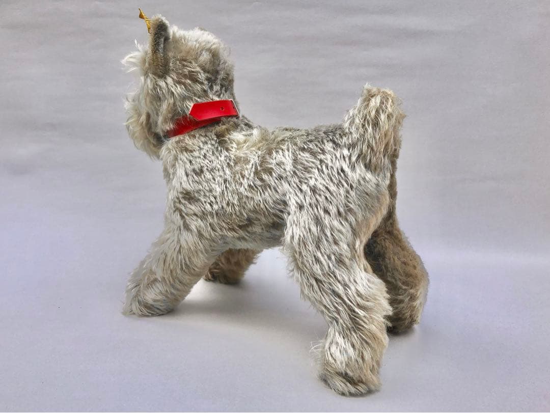 Steiff 　シュナウザーのTessi　IDあり