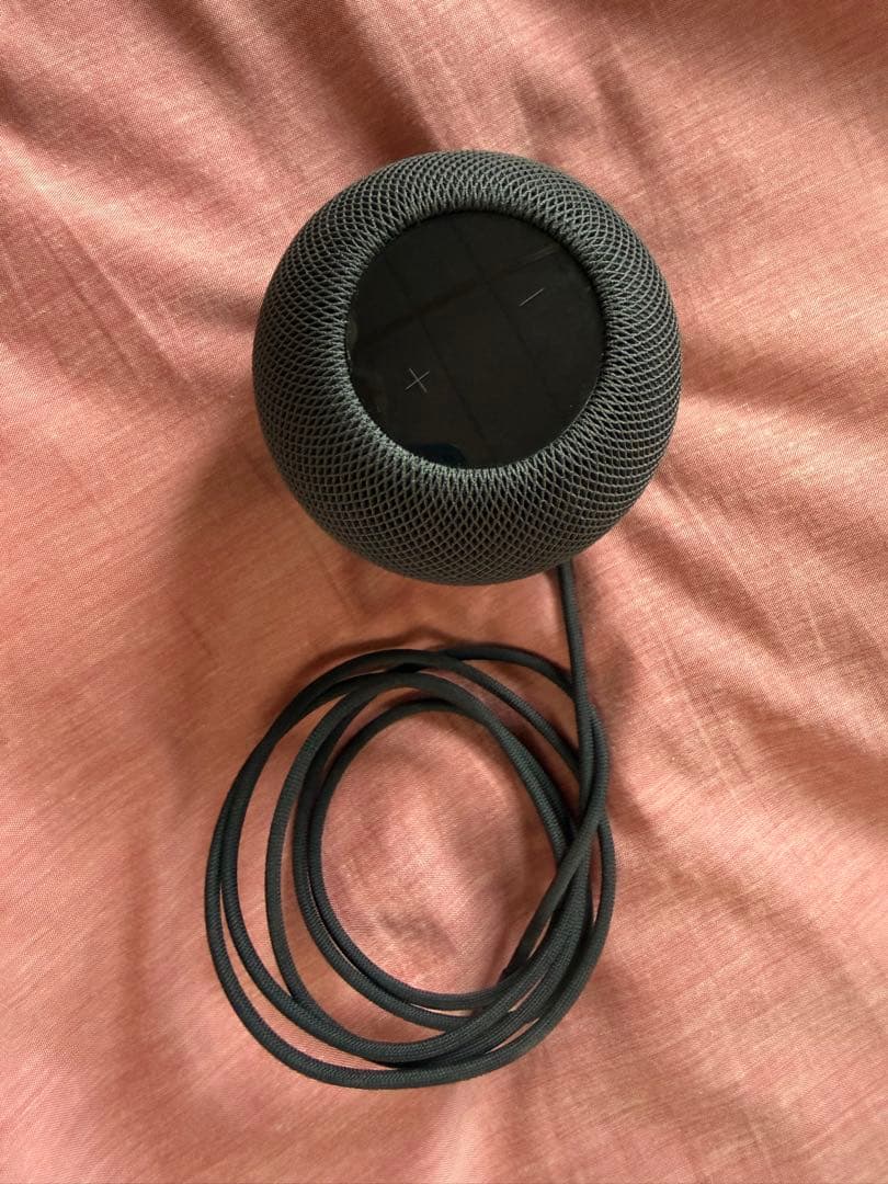 洗*機様 Apple Pod mini ブラック