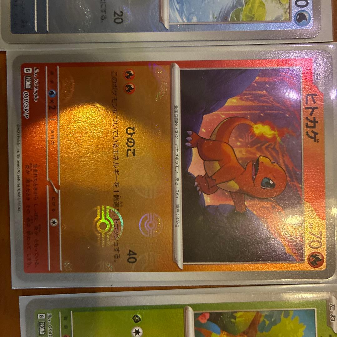 ポケモンカード ゼニガメ ヒトカゲ フシギダネ　プロモーション