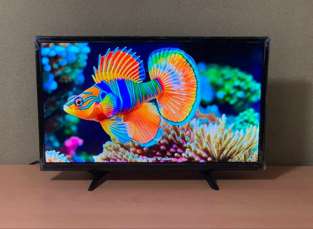 スマートテレビ ELSONIC Android搭載 24型 2022年製✨極美品