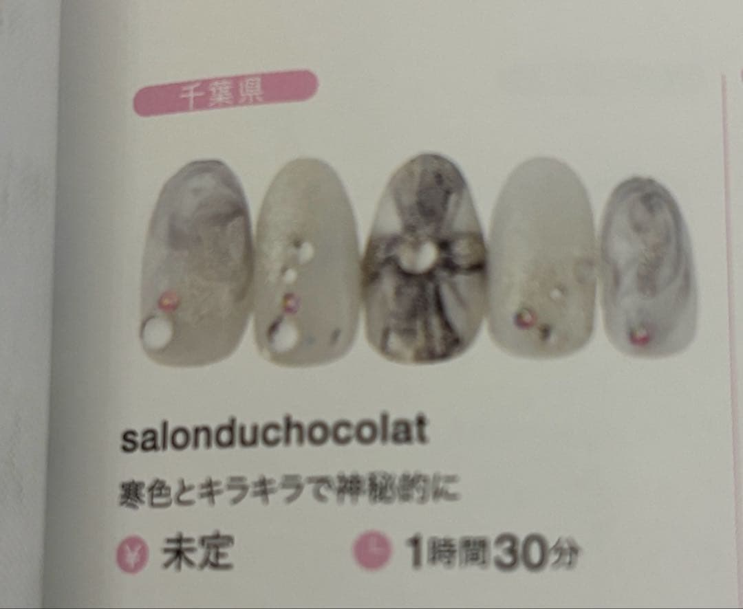 雑誌掲載連続プロネイリスト作成 高級ツィードネイルチップ 10個入り