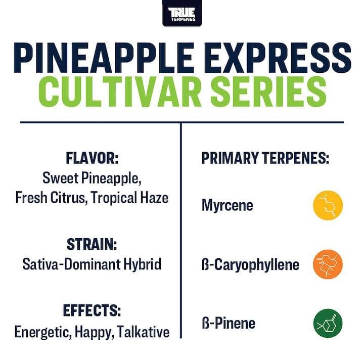 テルペン TRUE カルティバー Pineapple Express 10ml