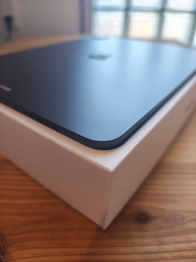 極美品 iPad Pro 13インチ M4 スペースブラック 256GB おまけ