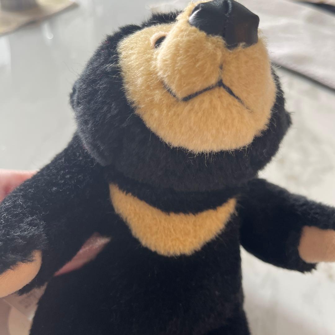 日本製 クマのぬいぐるみ 黒　モンスイユ　マレーちゃん
