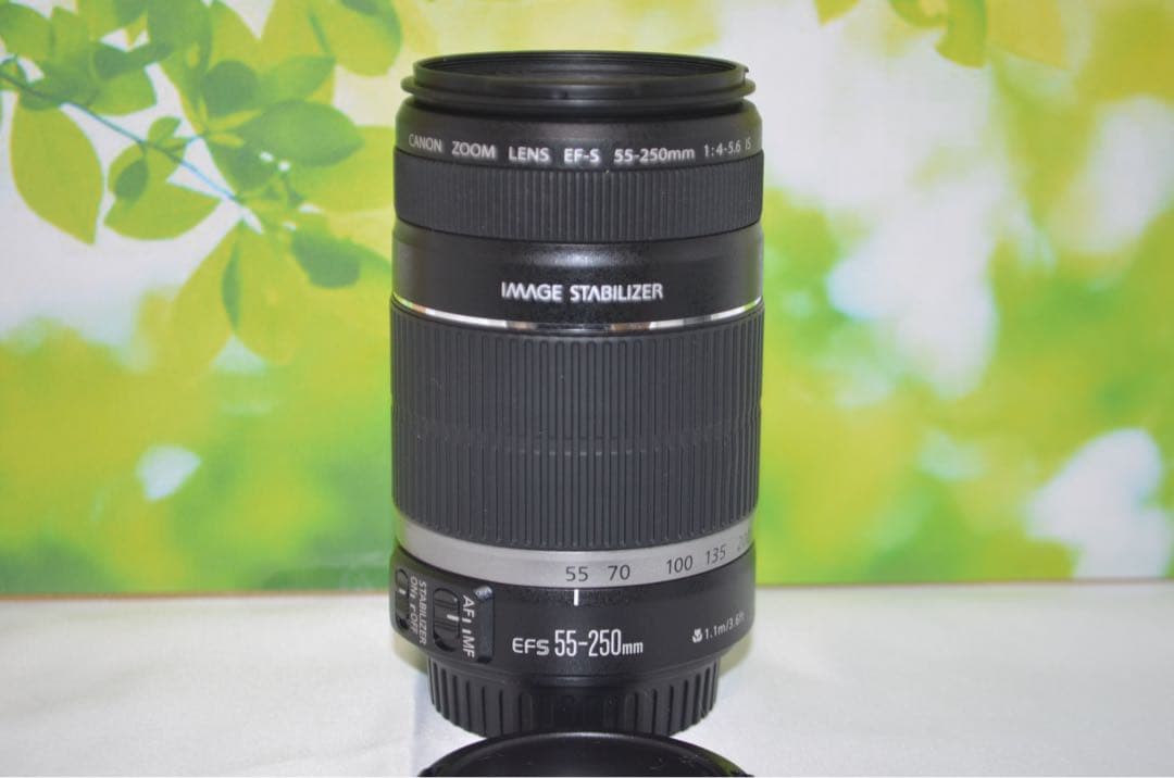 キャノン Canon EF-S 55-250mm IS☆お手軽望遠