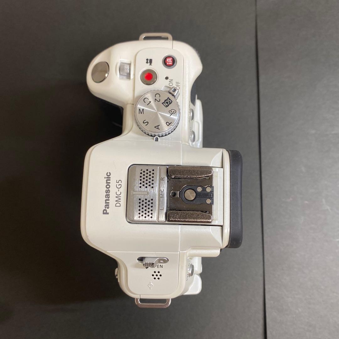 LUMIX G5 動作確認済み　SDカード/カードリーダー付属
