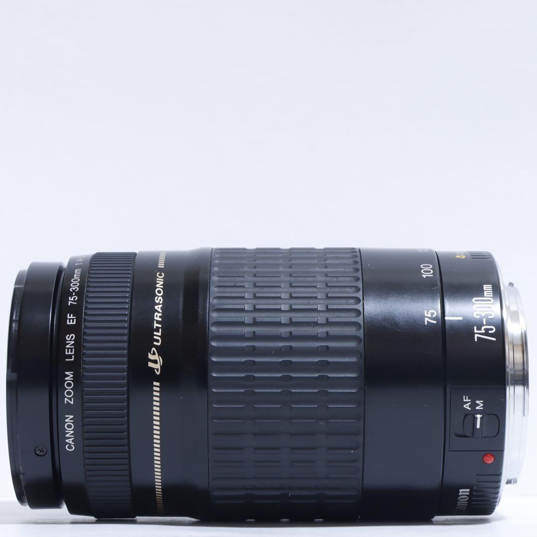◇超望遠&高速AF◇ Canon純正 75-300mm I型 望遠レンズ ◇