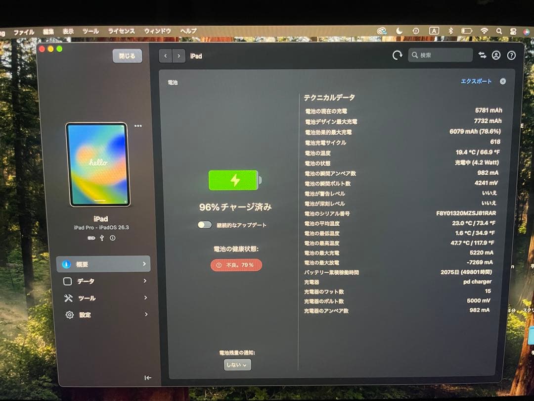 iPad Pro 11インチ 256GB Cellularモデル シルバー