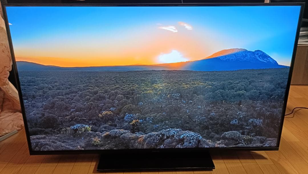 美品 23年製 50V型 Panasonic VIERA TH-50MX900