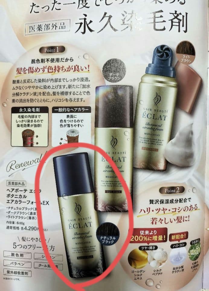 ECLAT ナチュラルブラック ヘアボーテエクラ ボタニカルエアカラー